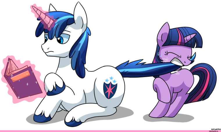 Шайнинг Армор r64