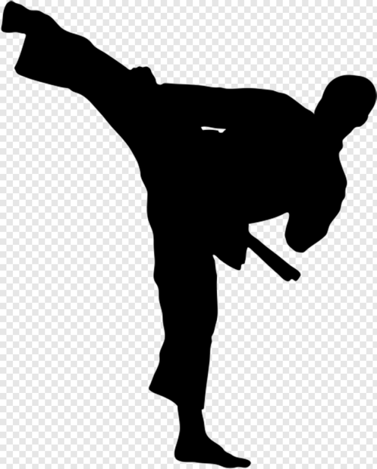 Каратист векторный