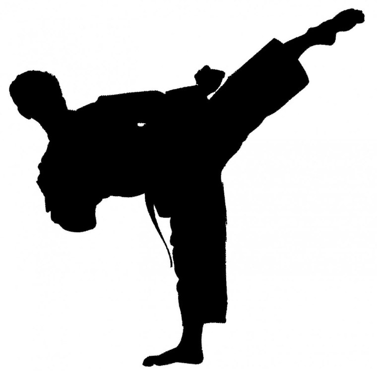 Киокушинкай каратэ вектор