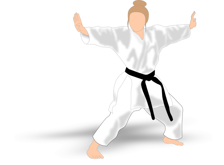 Каратэ на белом фоне