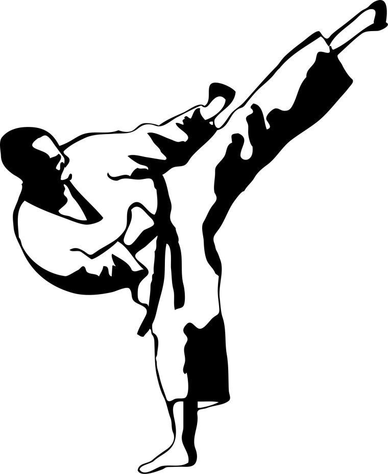 Каратист вектор