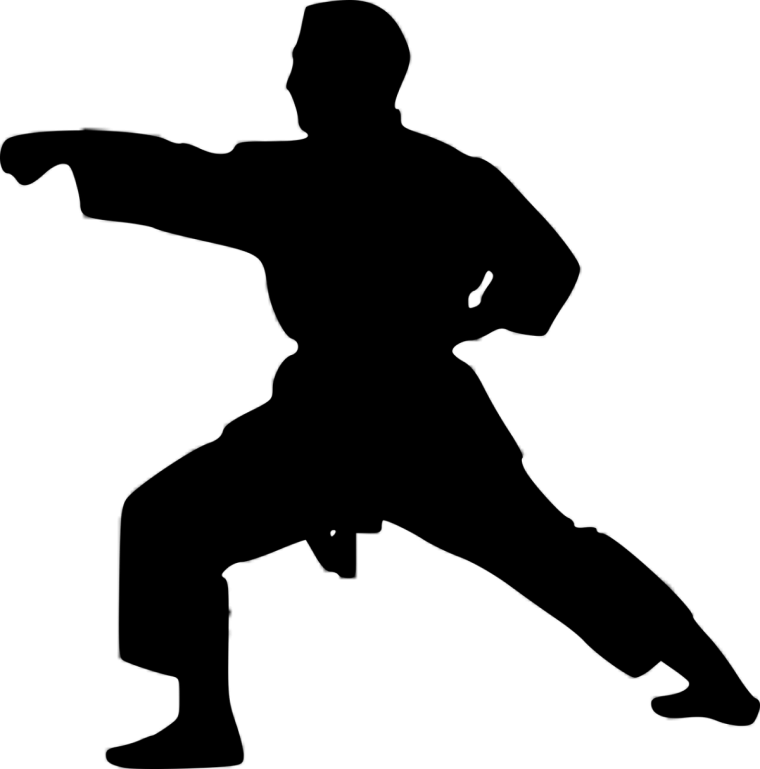 Каратэ Kyokushinkai силуэт