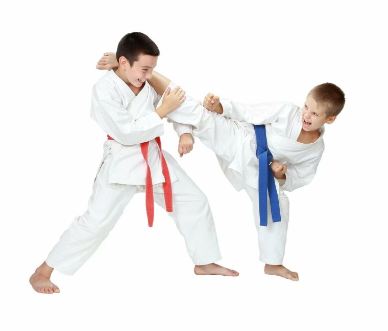 Каратэ на белом фоне