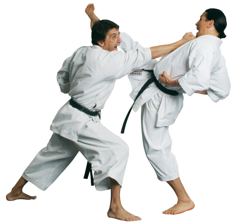 Боевое каратэ