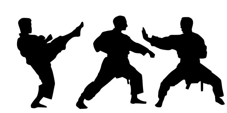 Каратэ силуэт