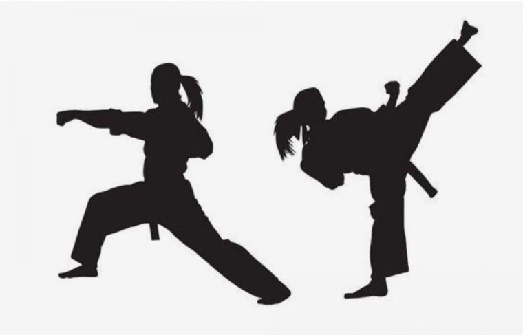 Боевые искусства силуэт