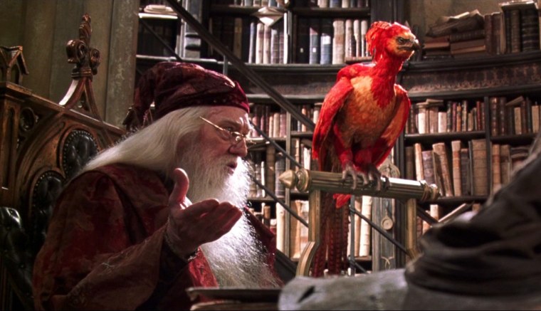 Птица Фоукс из Гарри Поттера