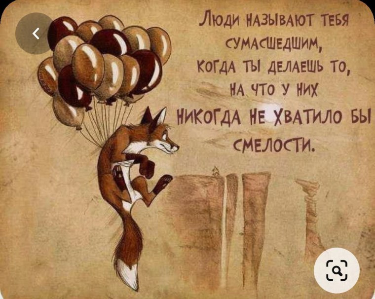 Лисы от Culpeo-Fox