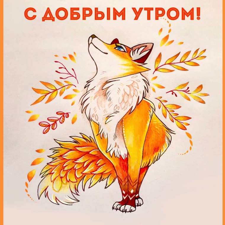 Доброе утро лиса