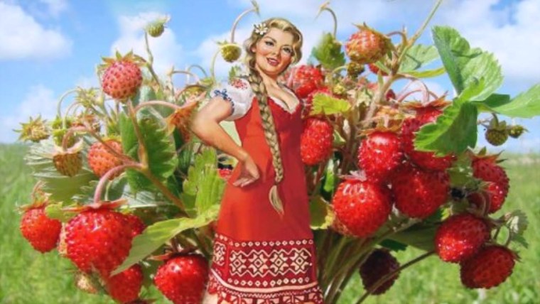 Баба Ягодка опять