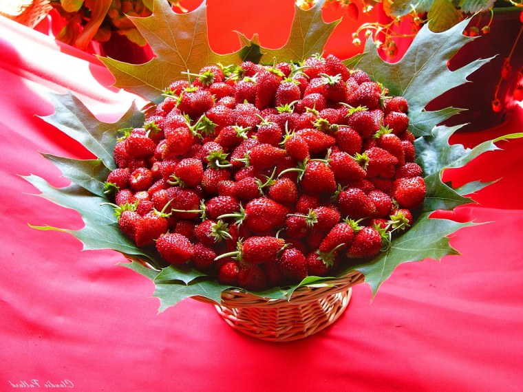 Ягодный юбилей