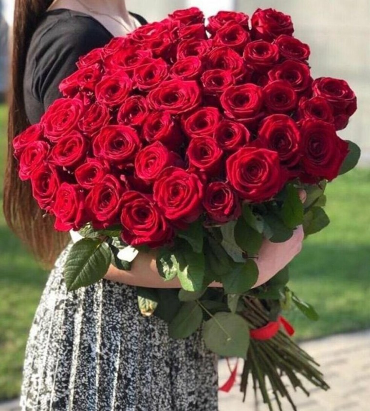 Роза Эквадор красная 51шт 60см