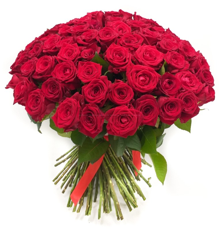 55 Роз букет