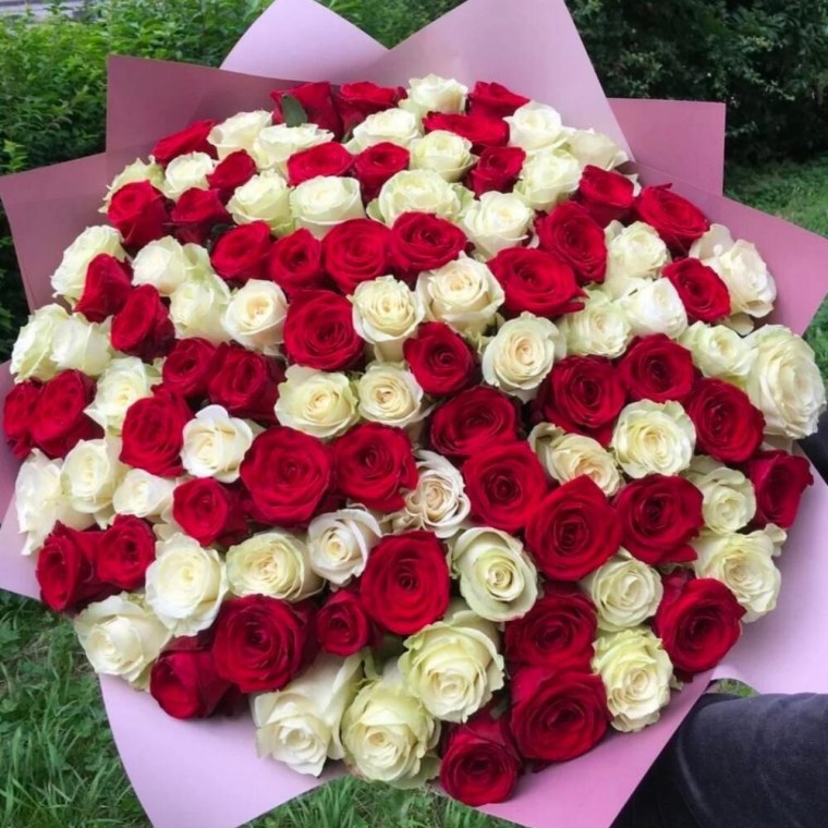 Букет 101 роза бело-красные 60см