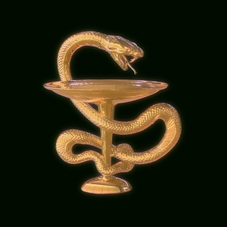 Асклепия – чаша со змеей