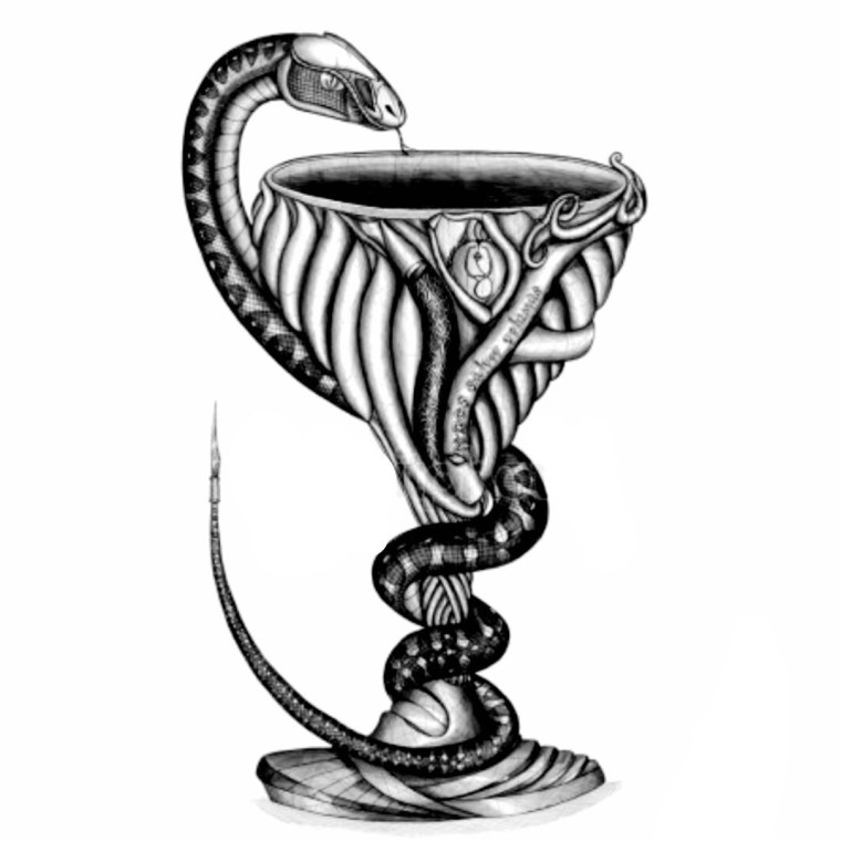 Асклепия – чаша со змеей