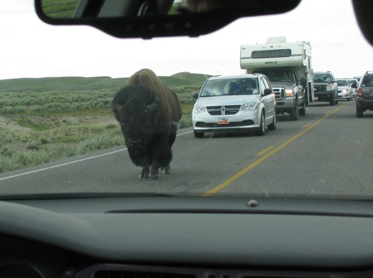 И пусть весь мир подождет