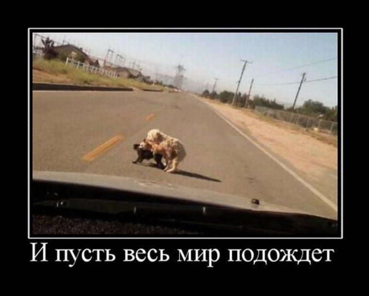 И пусть весь мир подождет прикол