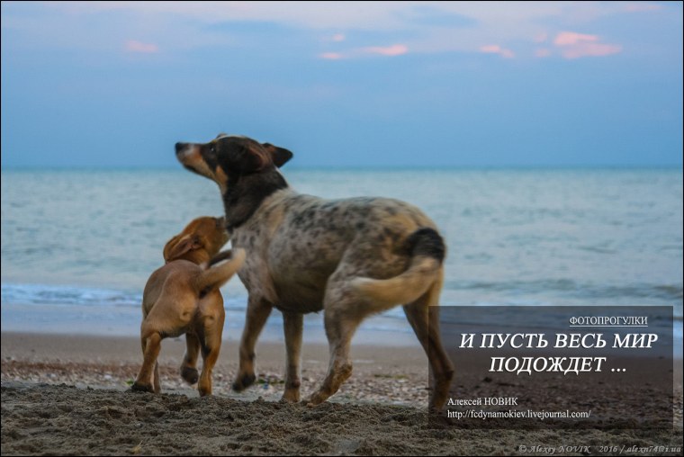 Море подождет