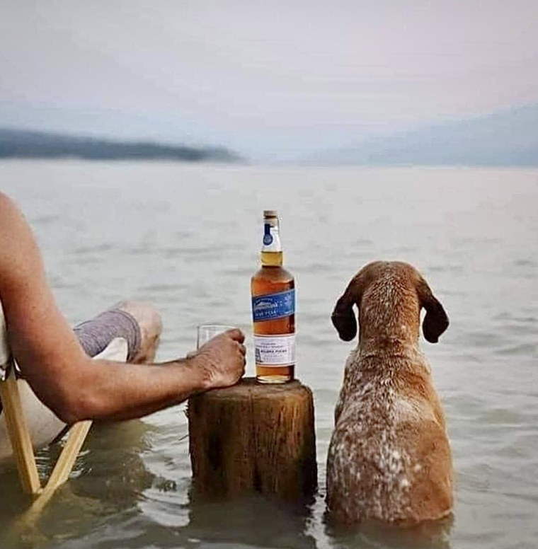 Юмор про алкоголь