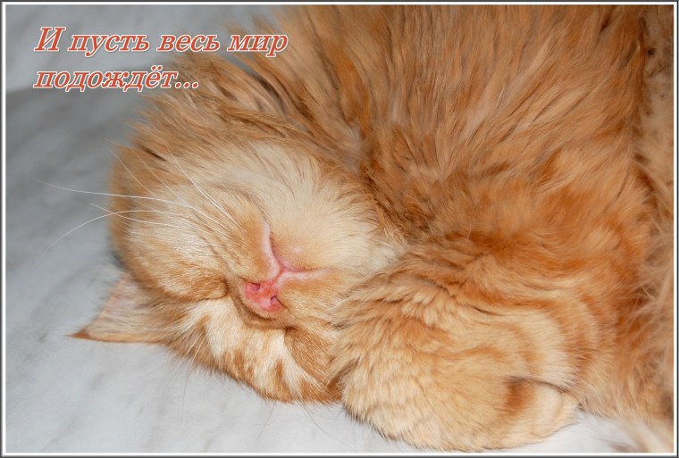 И пусть весь мир