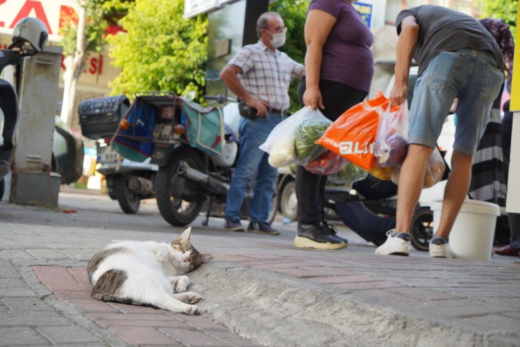 Фото и пусть весь мир подождет