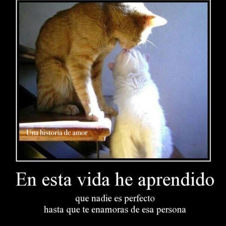 И пускай весь мир подождет