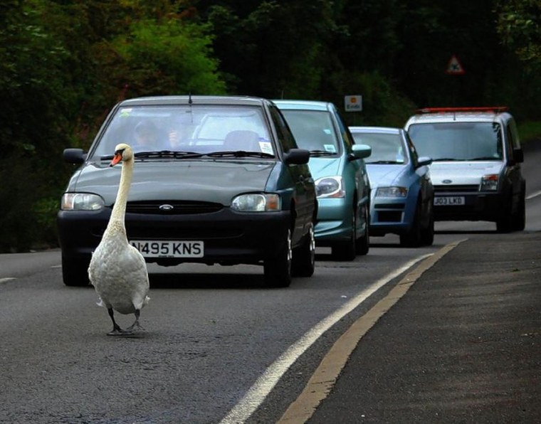 И пусть весь мир подождет