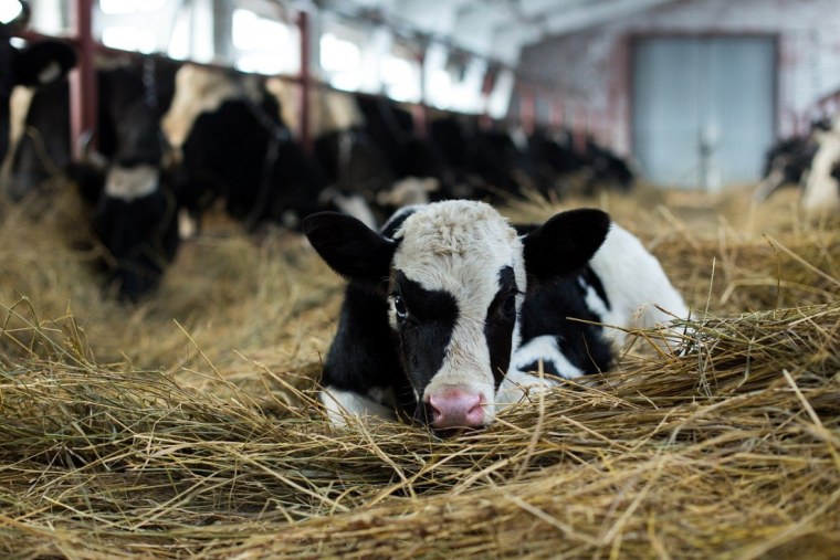 Сельское хозяйство