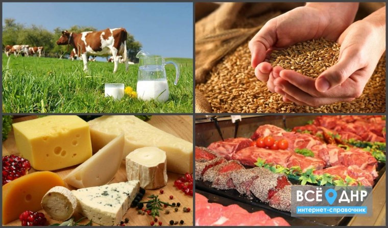 Пищевая и перерабатывающая промышленность