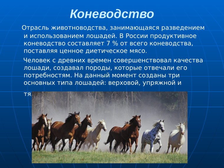 Отрасль коневодство