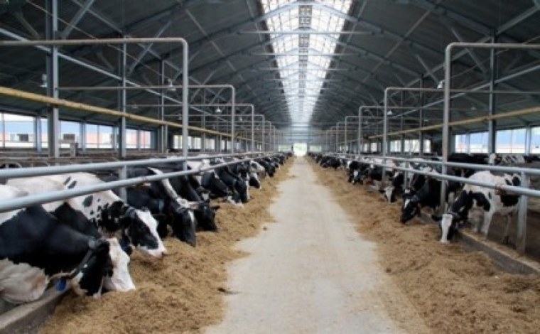 Агрофирма Патруши Свердловская область