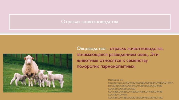 География размещения животноводства