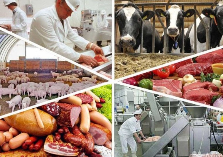 Пищевой и перерабатывающей промышленности