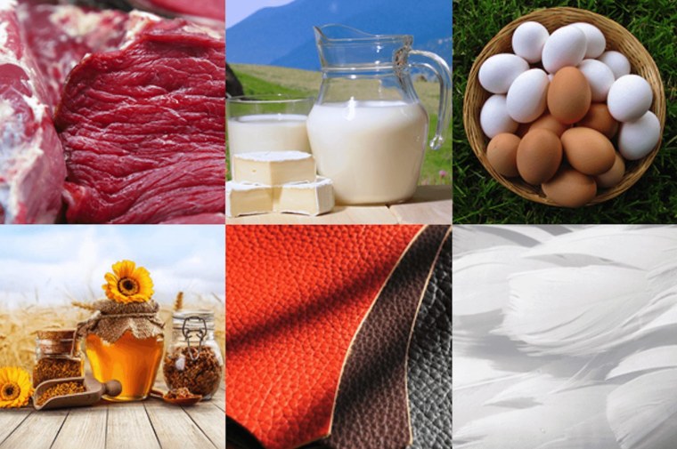 Продукты животноводства