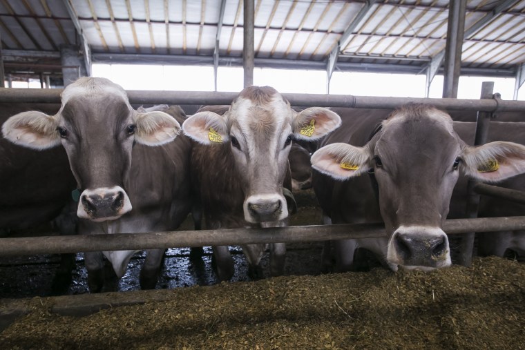 ООО Лада Волгодонской район
