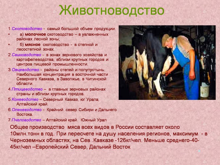 Рассказ о животноводстве