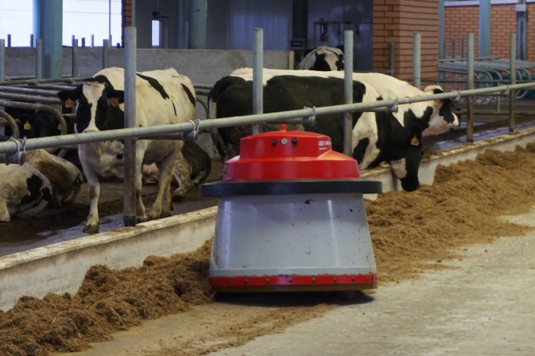 Молочная ферма Тамбовская область