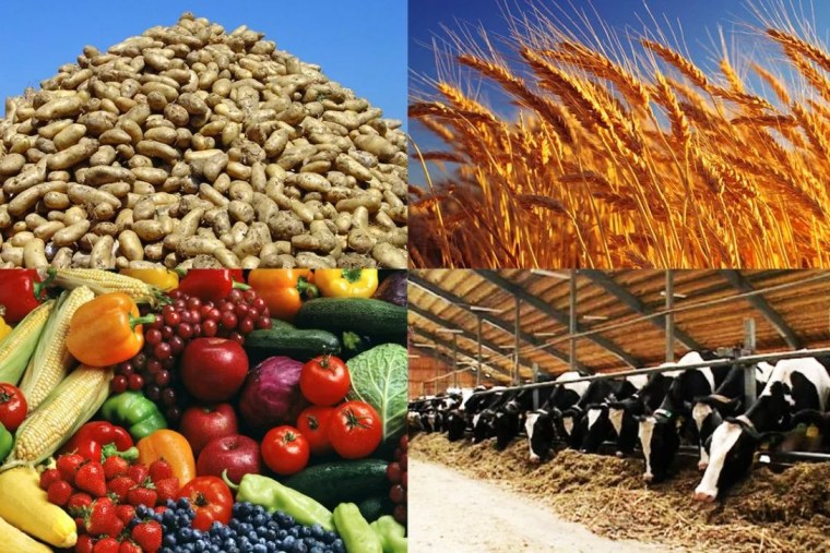 Агропромышленный комплекс Ростовской области