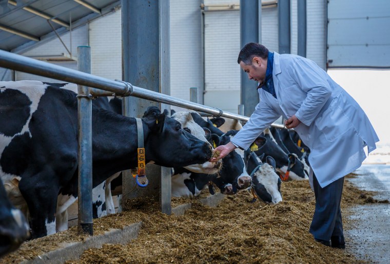 Хозяйство Тверской области