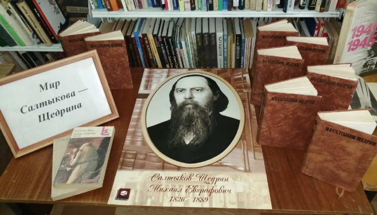 Салтыков Щедрин разделы книжной выставки
