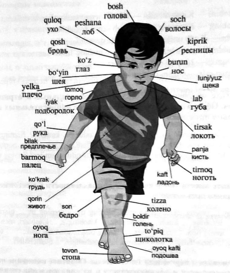 Узбекский язык