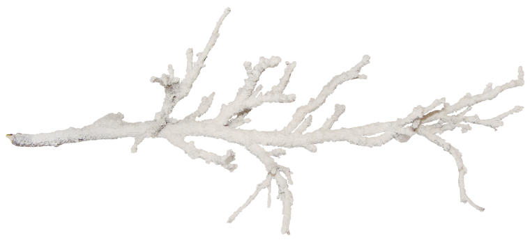 Снежные ветки на прозрачном фоне