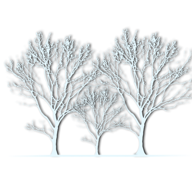 Деревья в снегу на белом фоне