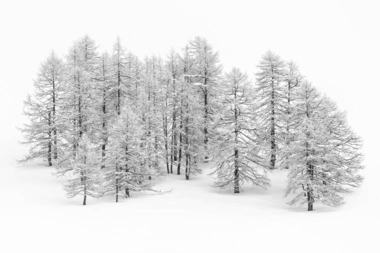 Зима на белом фоне