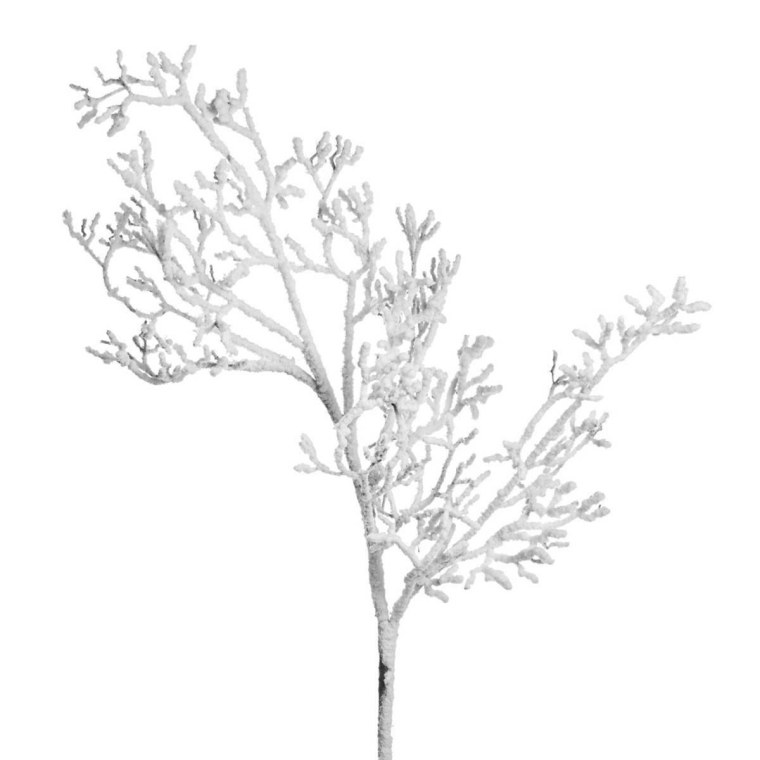 Белые ветки