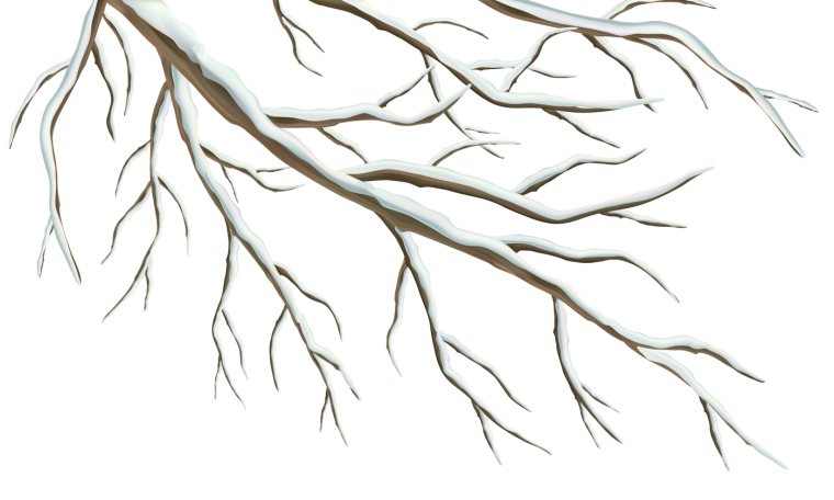 Ветка дерева на прозрачном фоне