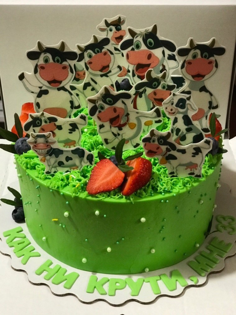 33 Коровы торт на день рождения