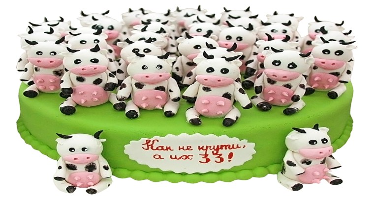 33 Коровы с днем рождения