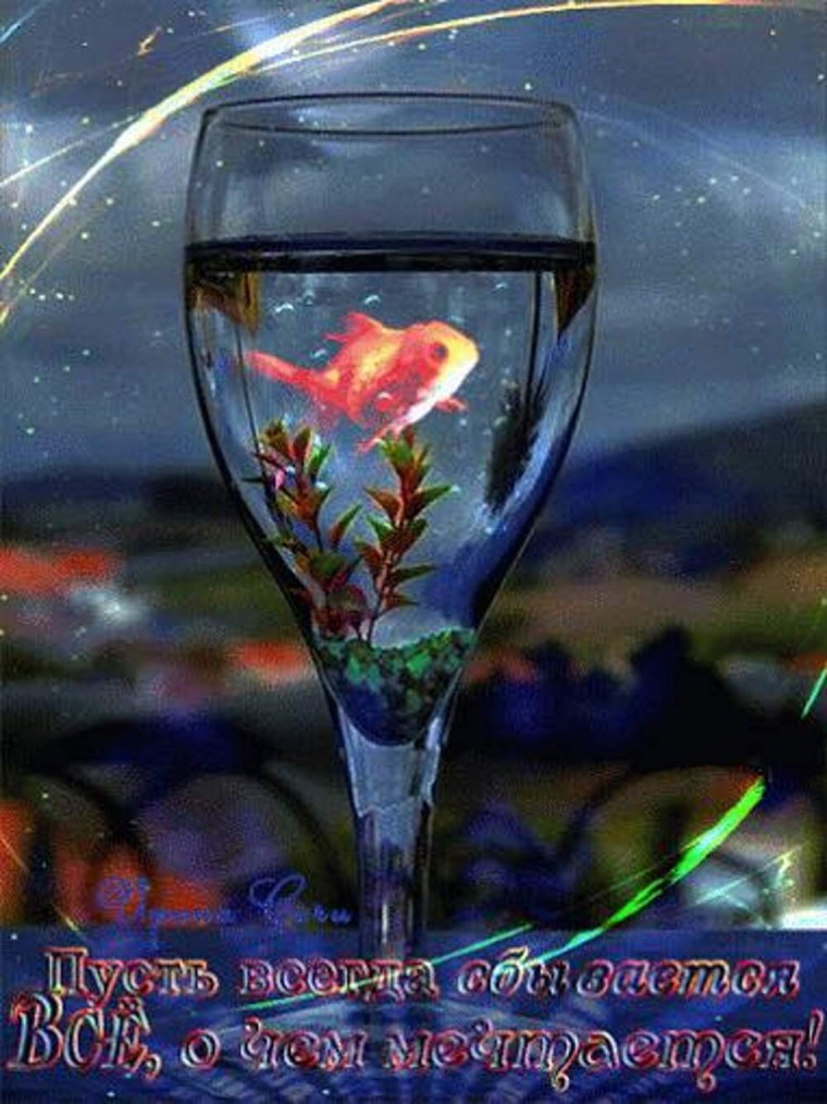 Рыбка в фужере